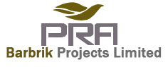 BARBRIK PROJECT LTD