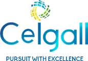 CEIGALL INDIA LIMITED