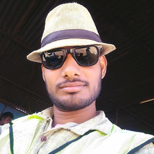 Pankaj Kumar Pareek