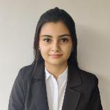 Baishali Kowshik